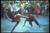 fototrdcapoeira.jpg (48423 bytes)